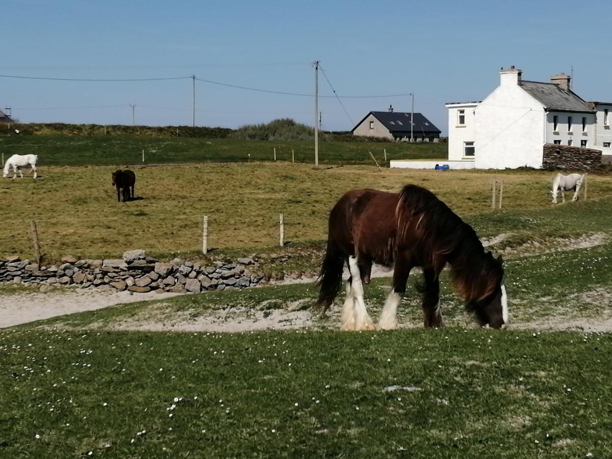Home Comforts Castleisland Exteriér fotografie